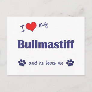 Cartão Postal Eu Amo Meu Bullmastiff (Cachorro Masculino)