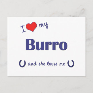 Cartão Postal Eu Amo Meu Burro (Burro Feminino)