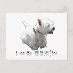 Cartão Postal Eu Amo Meu Cachorrinho Branco - Westie