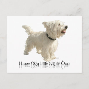 Cartão Postal Eu Amo Meu Cachorrinho Branco - Westie