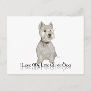 Cartão Postal Eu Amo Meu Cachorrinho Branco - Westie