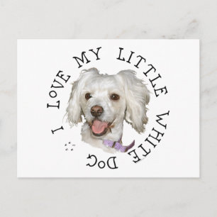 Cartão Postal Eu Amo Meu Cachorro Branco Pequeno Poodle / Bichon