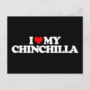 CARTÃO POSTAL EU AMO MEU CHINCHILA