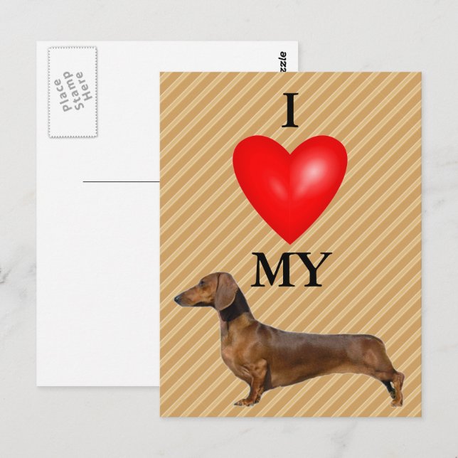 Cartão Postal Eu Amo Meu Coração Vermelho Dachshund (Frente/Verso)