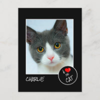 Eu Amo Meu Gato, Foto Personalizada - Pet Lovers