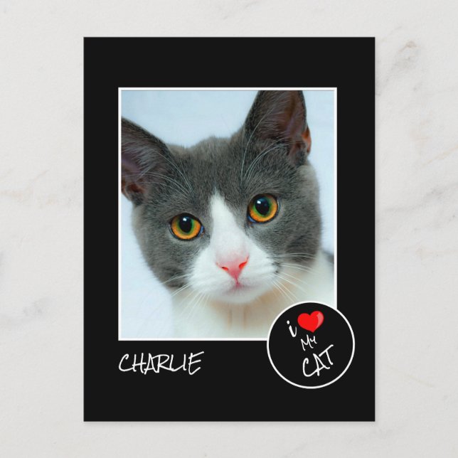 Cartão Postal Eu Amo Meu Gato, Foto Personalizada - Pet Lovers (Frente)