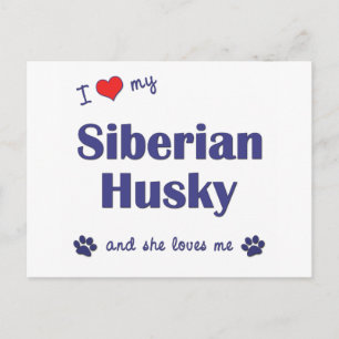 Cartão Postal Eu Amo Meu Husky Siberiano (Cachorro Feminino)