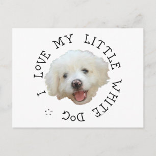 Cartão Postal Eu Amo Meu Pequeno Cachorro Branco De Salvamento