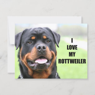 Cartão Postal Eu amo meu Rottweiler