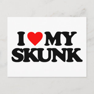 CARTÃO POSTAL EU AMO MEU SKUNK