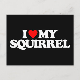 CARTÃO POSTAL EU AMO MEU SQUIRREL