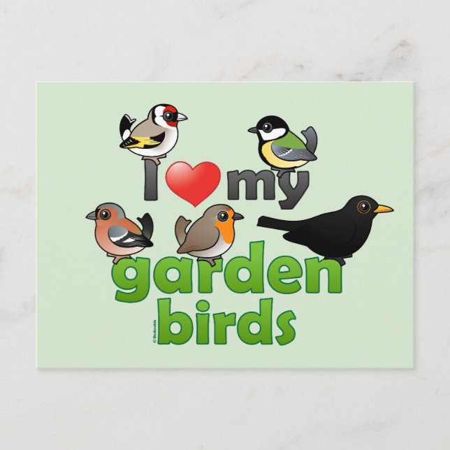 Cartão Postal Eu Amo Meus Pássaros De Jardim (Frente)