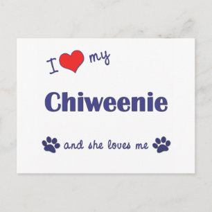 Cartão Postal Eu Amo Minha Chiweenie (Cachorro Feminino)