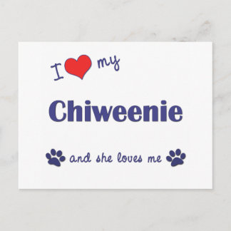 Cartão Postal Eu Amo Minha Chiweenie (Cachorro Feminino)