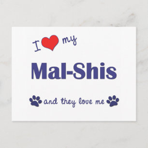 Cartão Postal Eu Amo Minha Mal-Shis (Vários Cães)