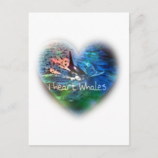 Cartão Postal Eu amo Orca Whales em presentes cardíacos