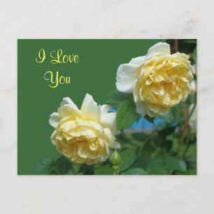 Cartão Postal Eu Amo Seu Cartão-Postal De Foto De Flor Amarelo