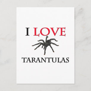 Cartão Postal Eu Amo Tarantulas