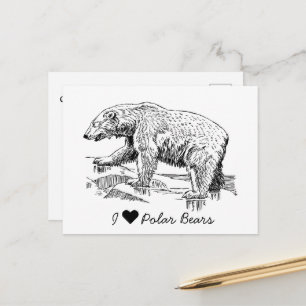 Cartão Postal Eu Amo Ursos Polares