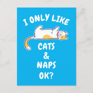 CARTÃO POSTAL EU APENAS GOSTO DE GATOS & SONECAS OK?