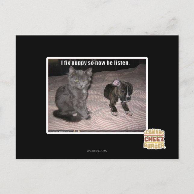 Cartão Postal Eu conserto cachorrinho (Frente)