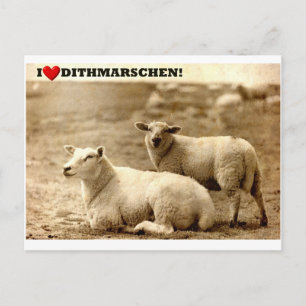 Cartão Postal Eu coração Dithmarschen!