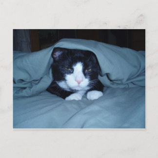 Cartão Postal Eu deio segundas-feiras!