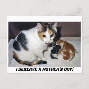 CARTÃO POSTAL EU MEREÇO UM DIA DE AS MÃES!
