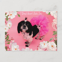 Cartão Postal Eu não dou a Shih Tzu