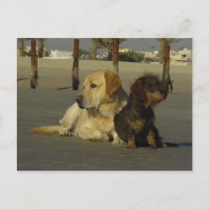 Cartão Postal Eu não falo com você