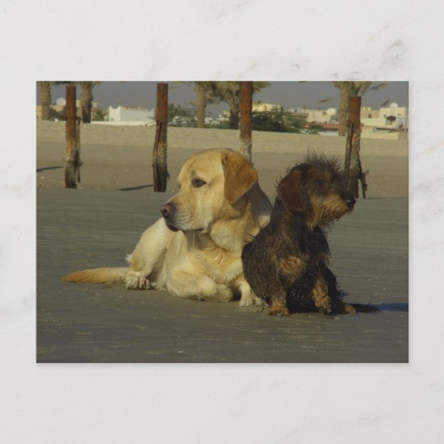 Cartão Postal Eu não falo com você (Frente)