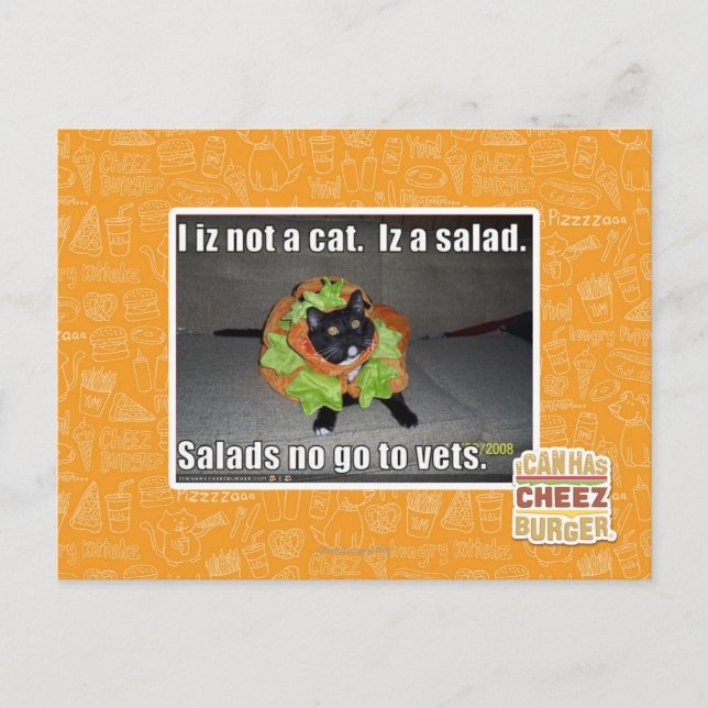 Cartão Postal Eu não sou um gato. É uma salada. (Frente)