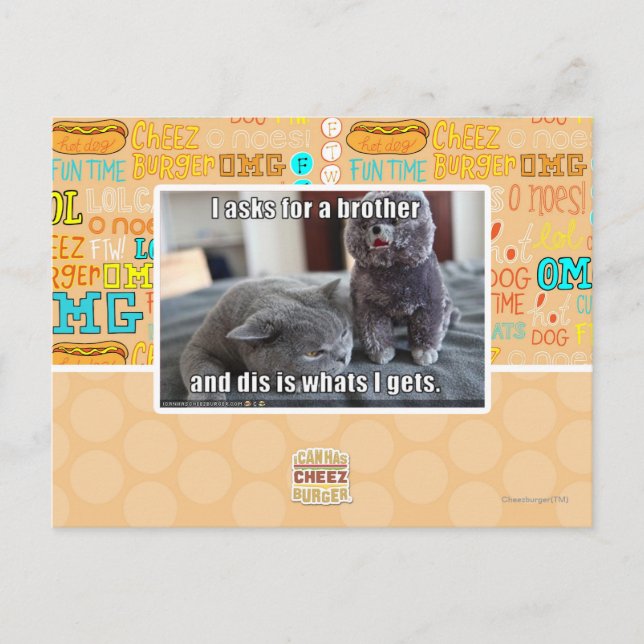 Cartão Postal Eu peço um irmão (Frente)