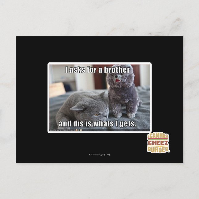 Cartão Postal Eu peço um irmão (Frente)