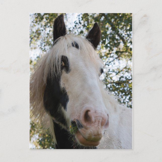 Cartão Postal Eu posso te ver (Frente)