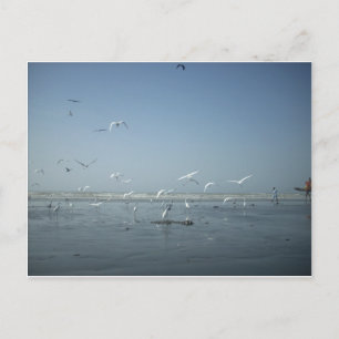 Cartão Postal Eu posso voar