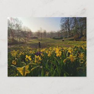 Cartão Postal Eu queria solitário como nuvem de William Wordswo