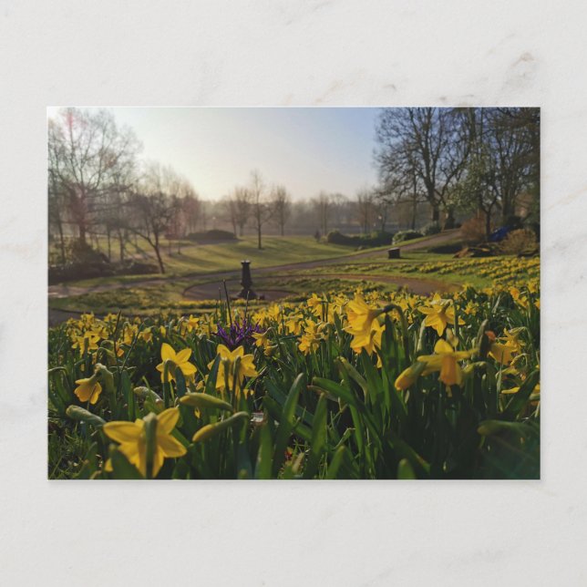 Cartão Postal Eu queria solitário como nuvem de William Wordswor (Frente)