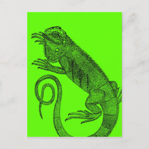Cartão Postal Eu quero Iguana