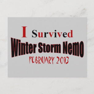 Cartão Postal Eu Sobrevivi ao Cartaz NEMO de Tempestade de inver