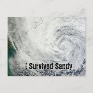 Cartão Postal Eu Sobrevivi ao Sandy Postcard