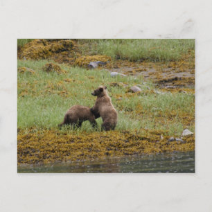 Cartão Postal Eu sou o Chefe