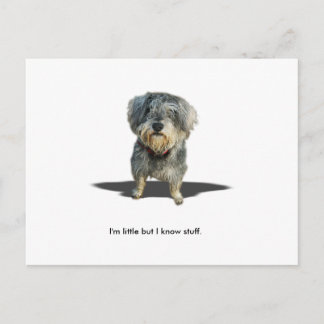 Cartão Postal Eu sou pouco mas eu sei o material