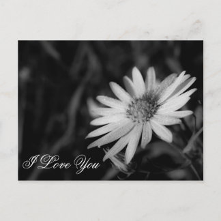 Cartão Postal Eu Te Amo