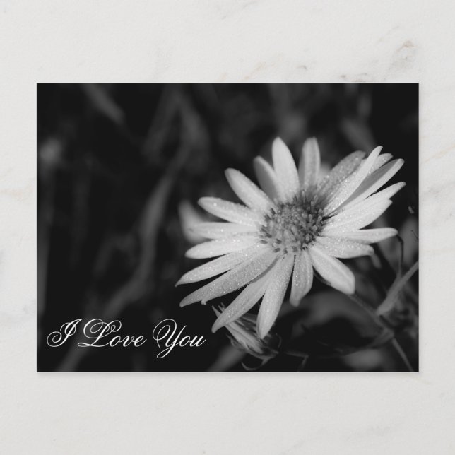 Cartão Postal Eu Te Amo (Frente)
