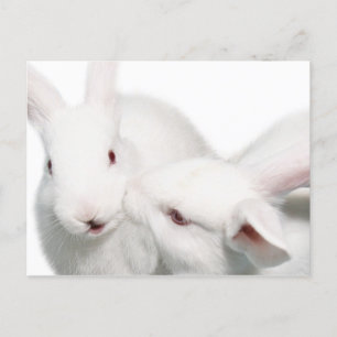 Cartão Postal Eu te amo