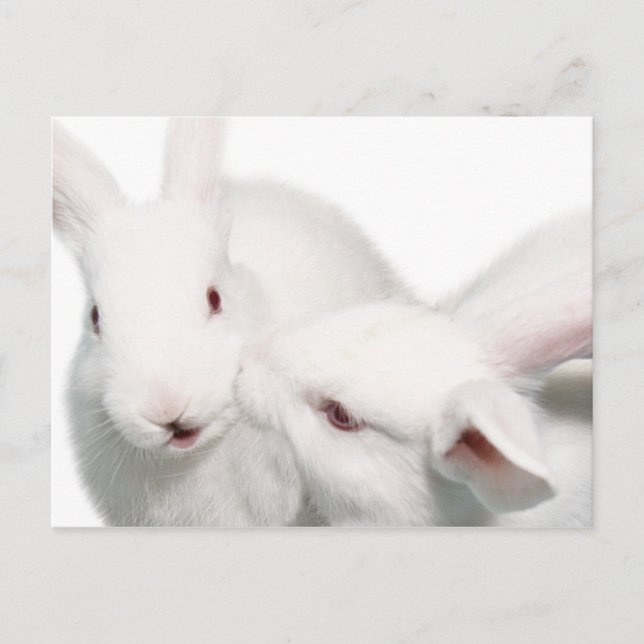 Cartão Postal Eu te amo (Frente)