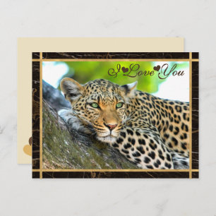 Cartão Postal Eu Te Amo Foto De Leopardo