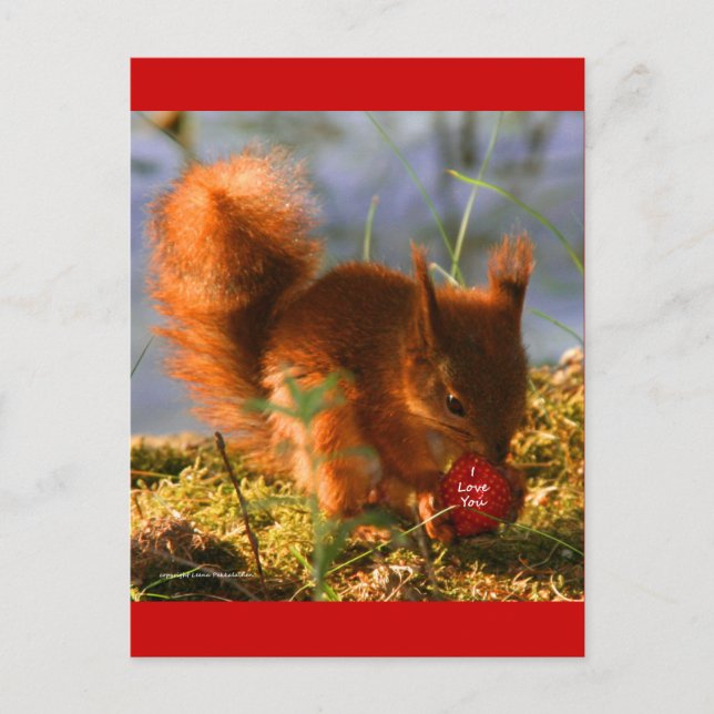 Cartão Postal Eu Te Amo, Morango (Frente)