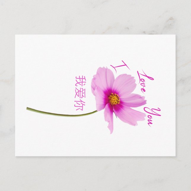 Cartão Postal Eu te amo (Wo Ai Ni) em chinês (Frente)